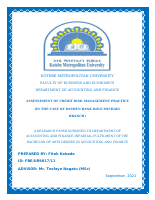 Fiteh Kebede Research.docx